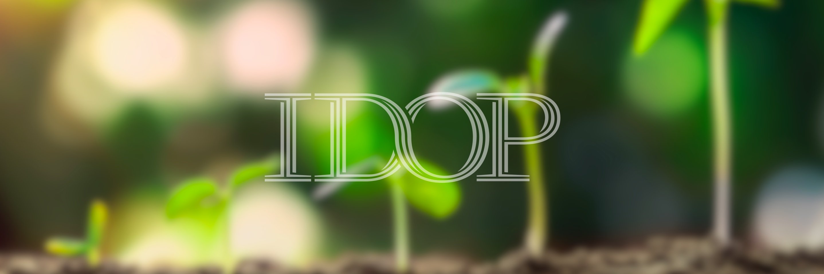 IDOPhr's profile banner image