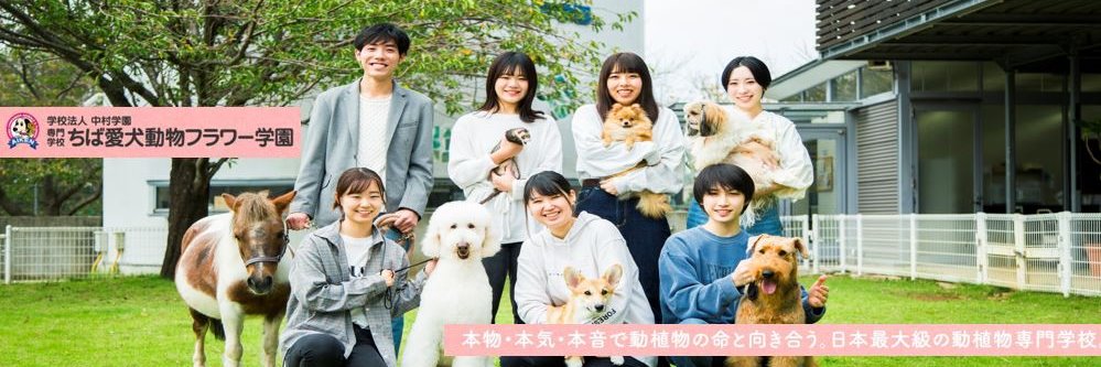 chibaaiken's profile banner image