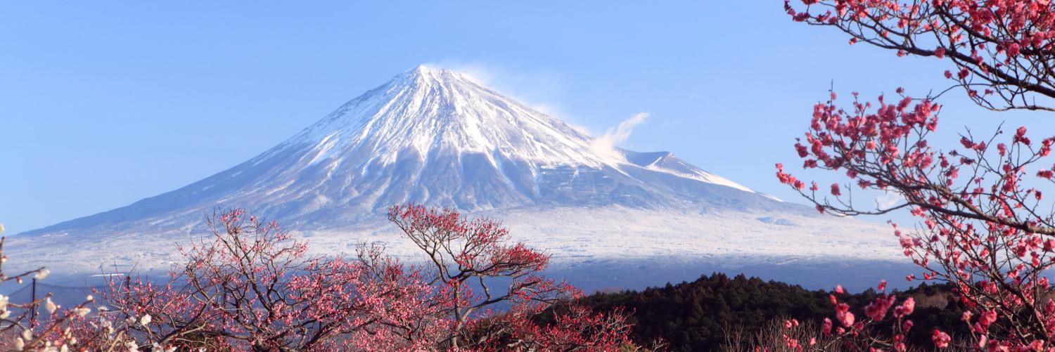 HALBERDs_jpn's profile banner image