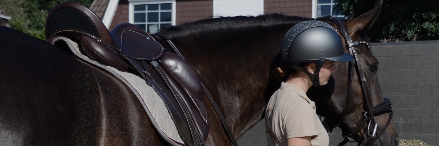 CarolinLaciny's profile banner image