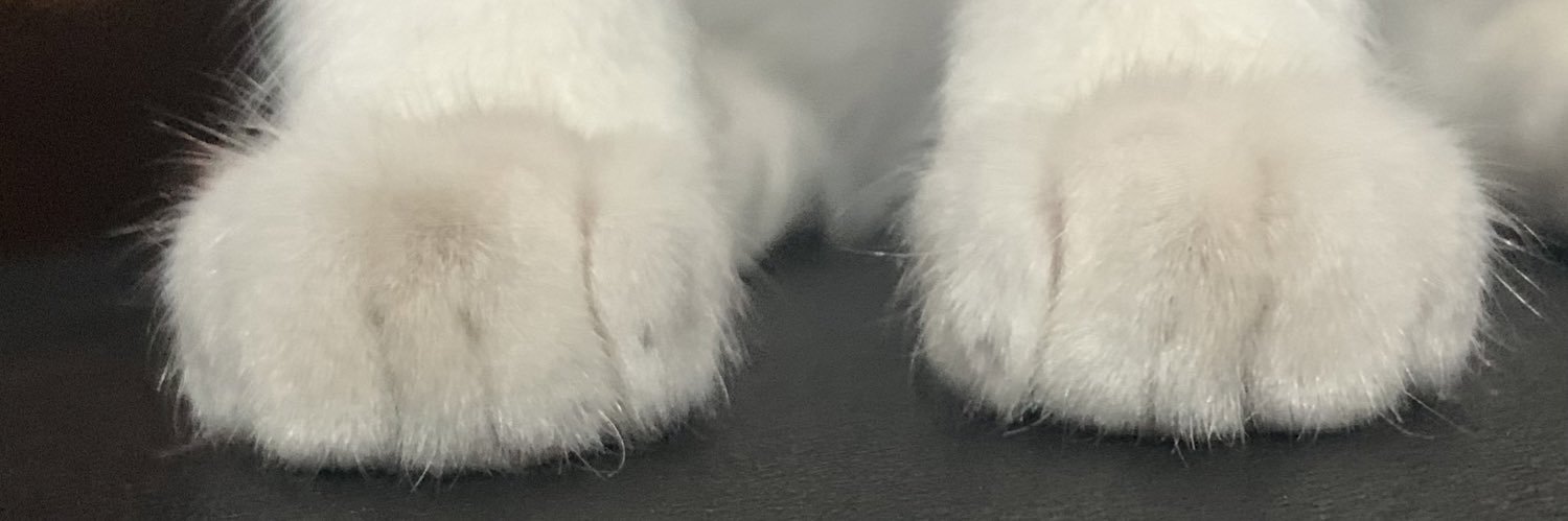 martinpalumbo's profile banner image