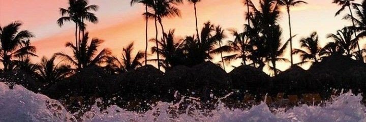 iresegmol's profile banner image