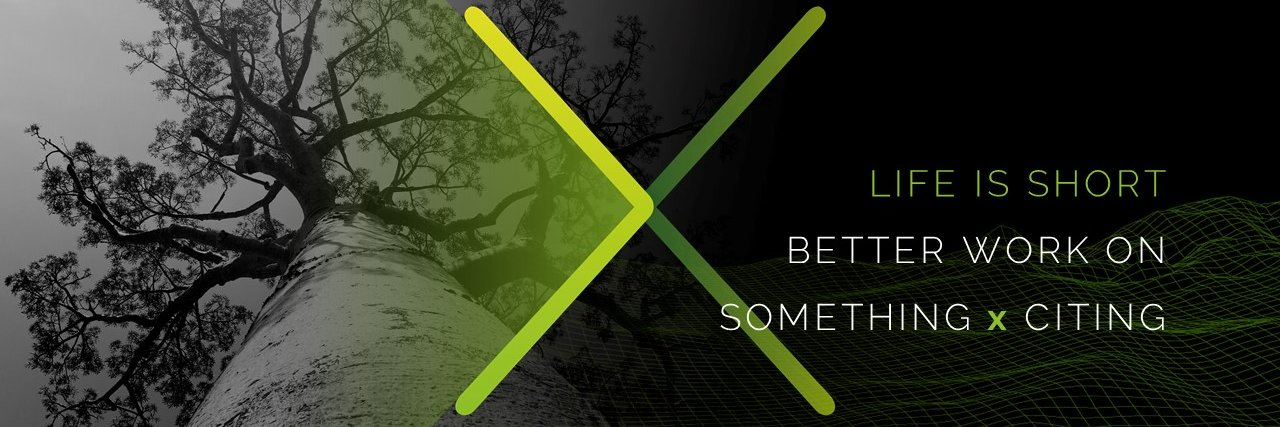 Walter Scheer banner