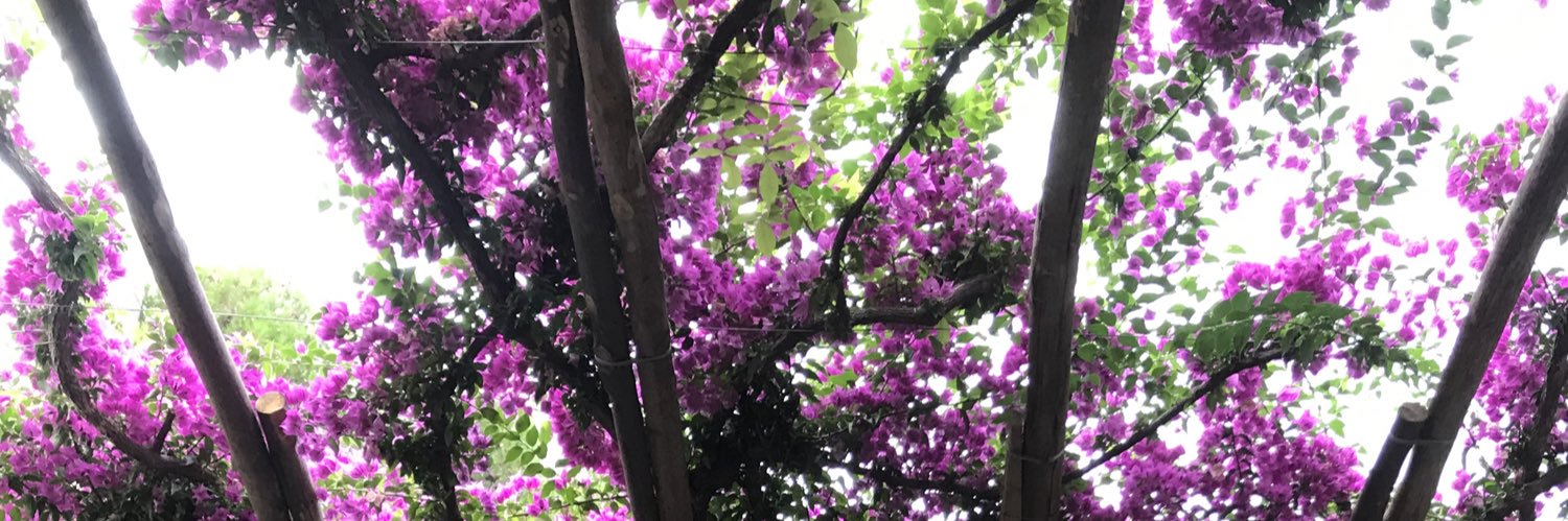 juliadennisCT's profile banner image