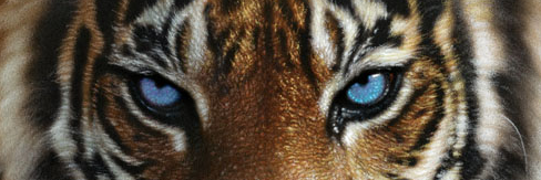 NeanderthalYT's profile banner image