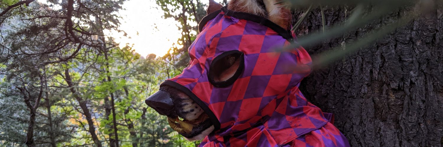 PomPumaDragon's profile banner image