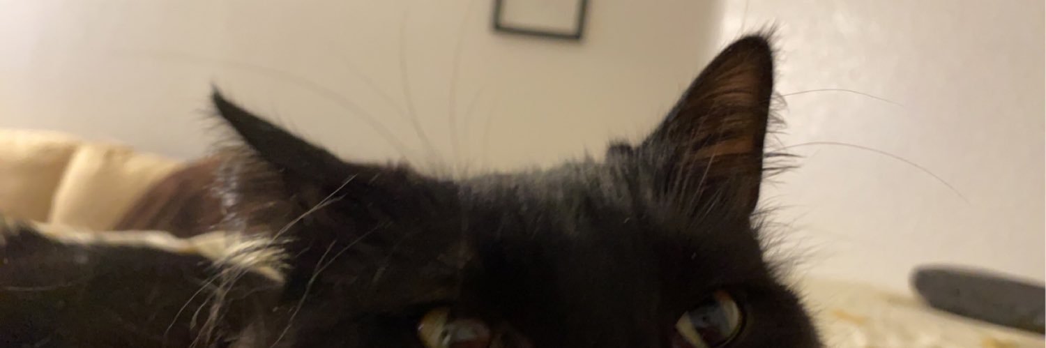 featherverrill's profile banner image