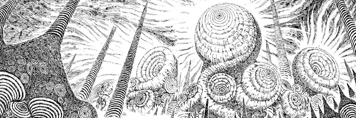 bDippy's profile banner image