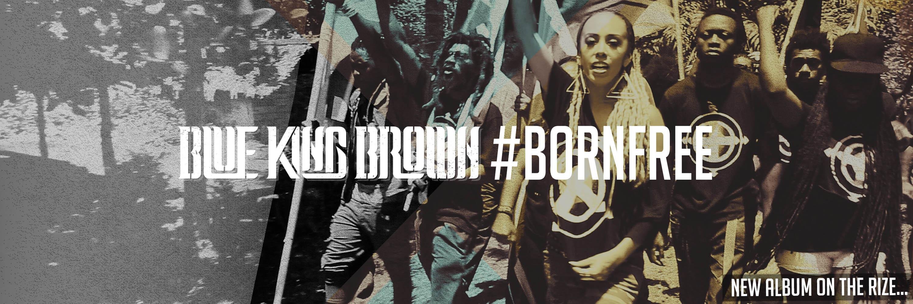bluekingbrown's profile banner image