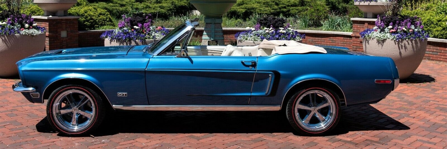 Entangled Web banner