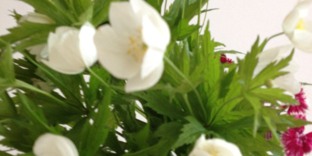 cafeDripDrop's profile banner image