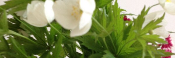 cafeDripDrop Profile Banner