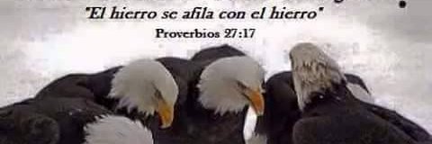 Ricardo De Spirito Balbuena.'s banner