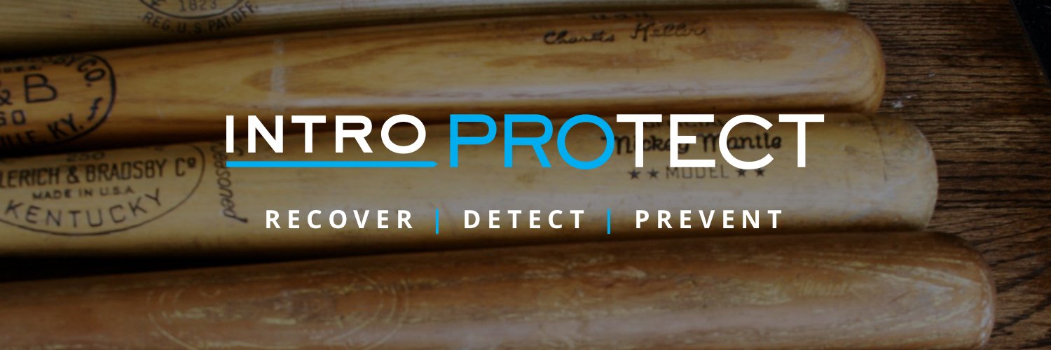 introPROTECT banner