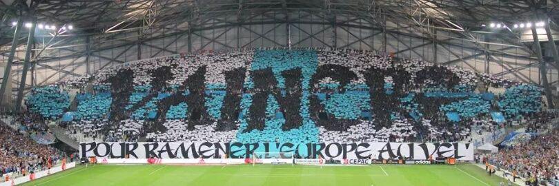 Raphaël Verini banner