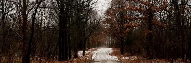 thededkat's profile banner image