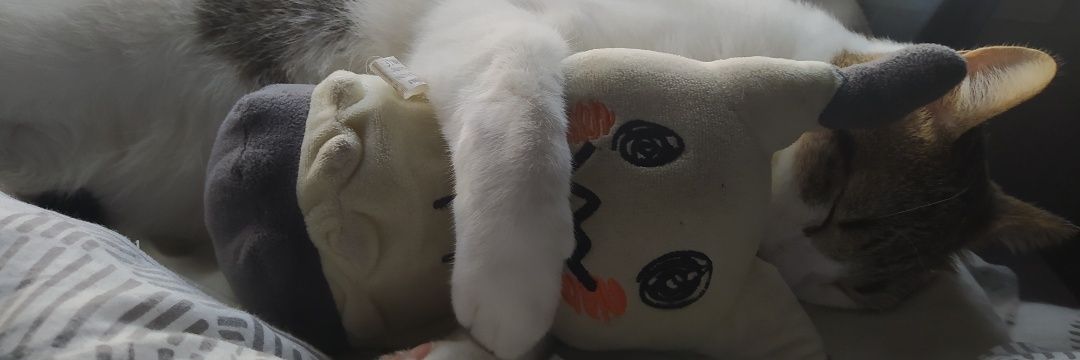 TurboFuchi's profile banner image
