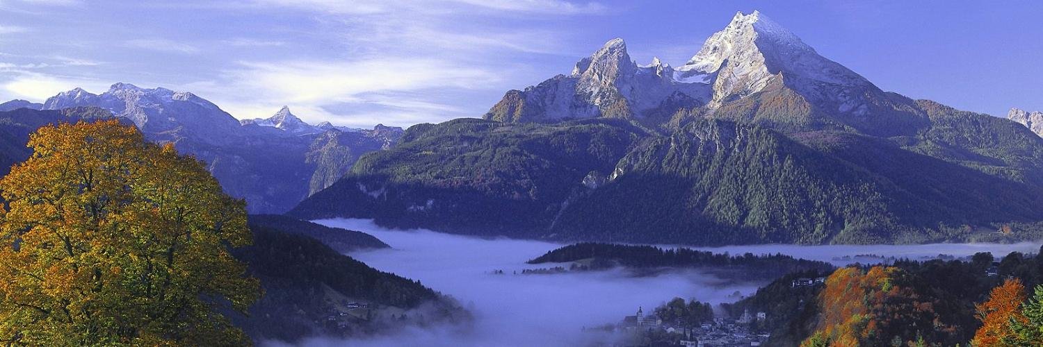 cryptocurrency banner