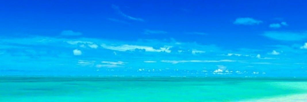spring0331's profile banner image