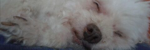 Hillary_111's profile banner image