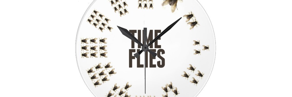 hw3a11's profile banner image