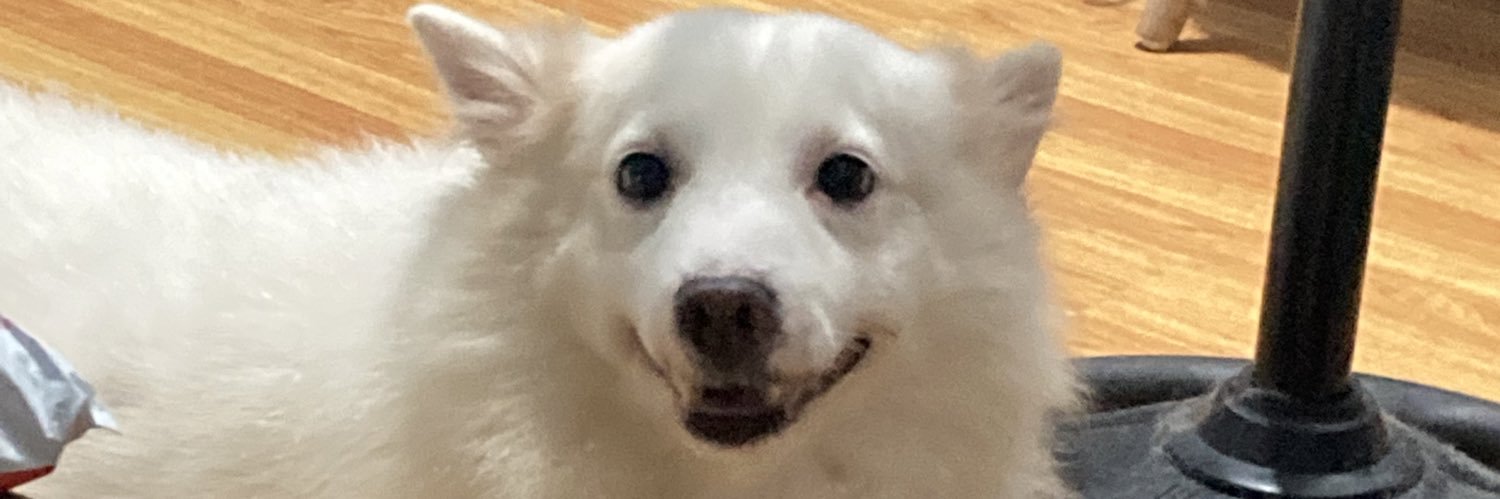 DhangMoonyoss's profile banner image