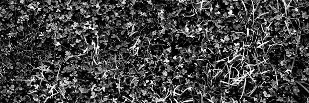 LovingMarti's profile banner image
