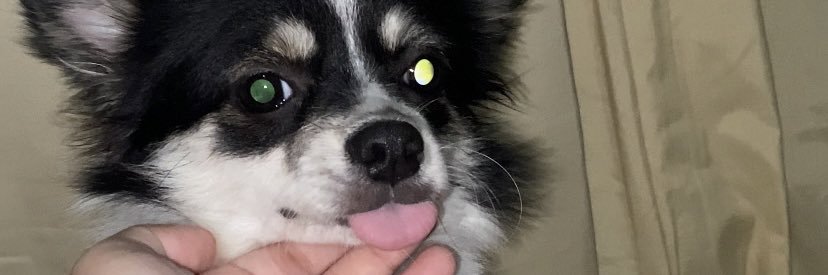 alygroms's profile banner image