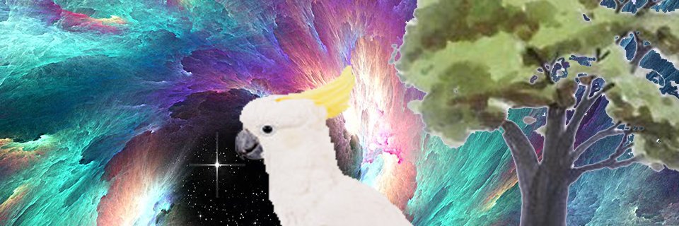 aj_shoots's profile banner image