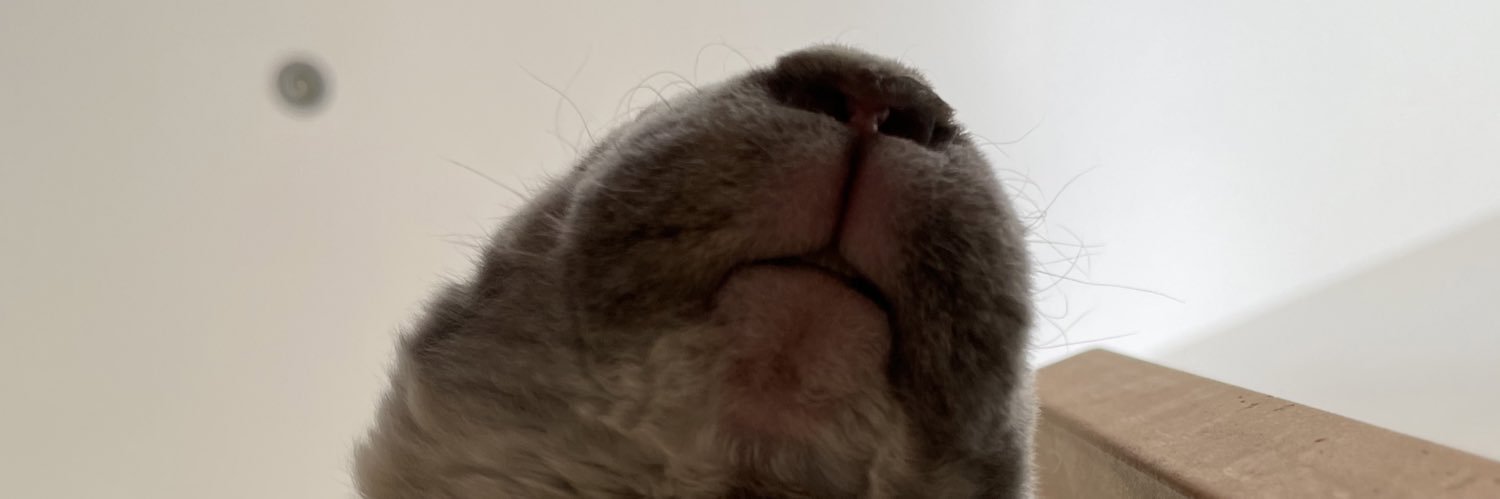 GGGrubel's profile banner image