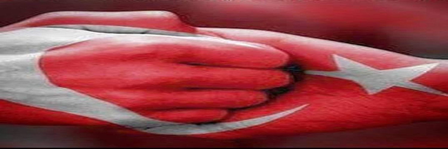 araselifefe's profile banner image
