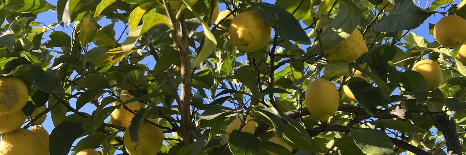 tinapaperina's profile banner image