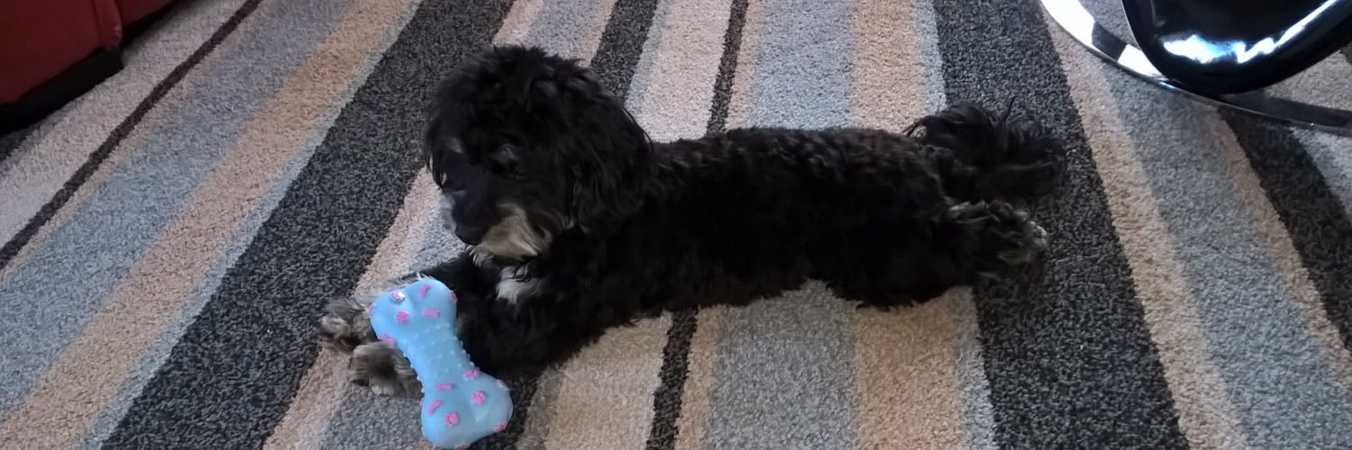 Michael Boucher banner