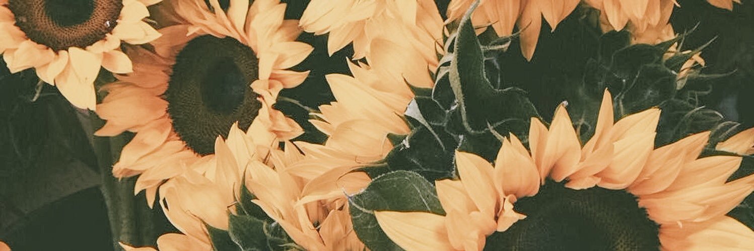 maddisontabitha's profile banner image