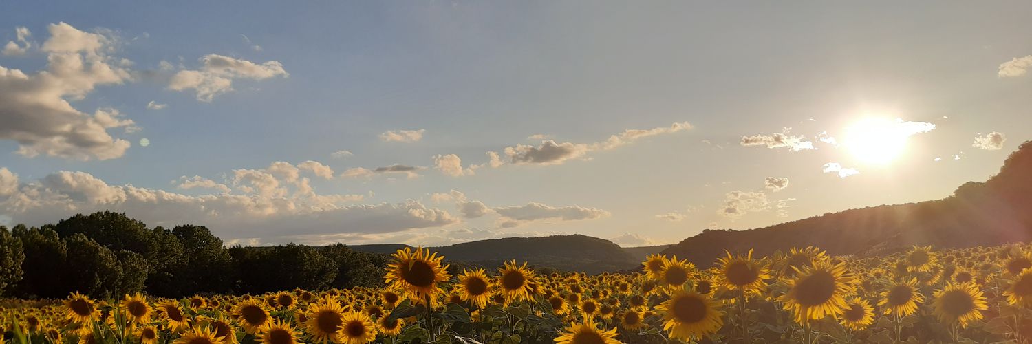 lauragrubio_'s profile banner image