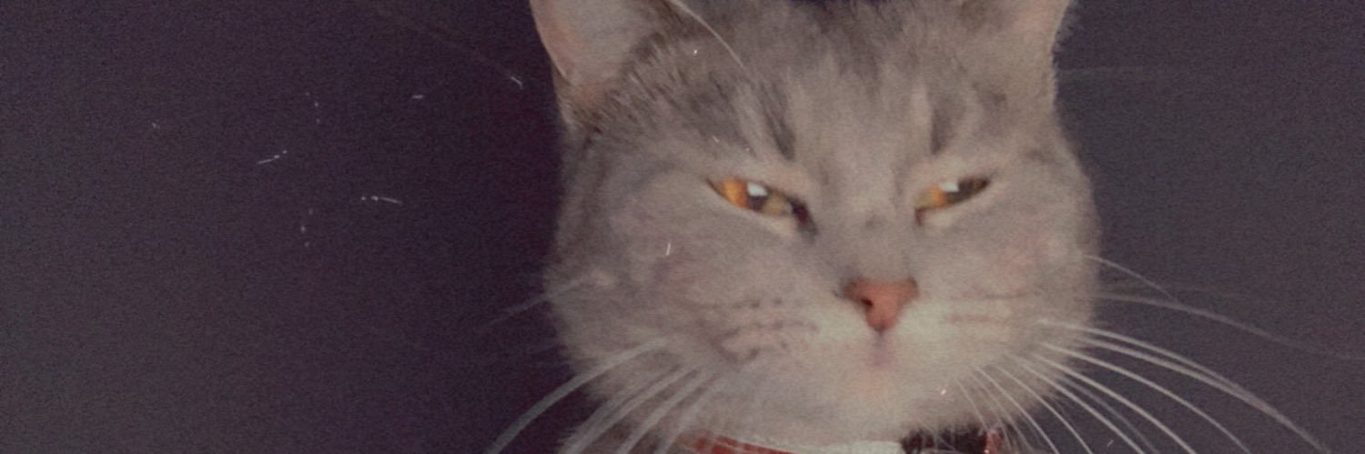 stephannnaaaay's profile banner image