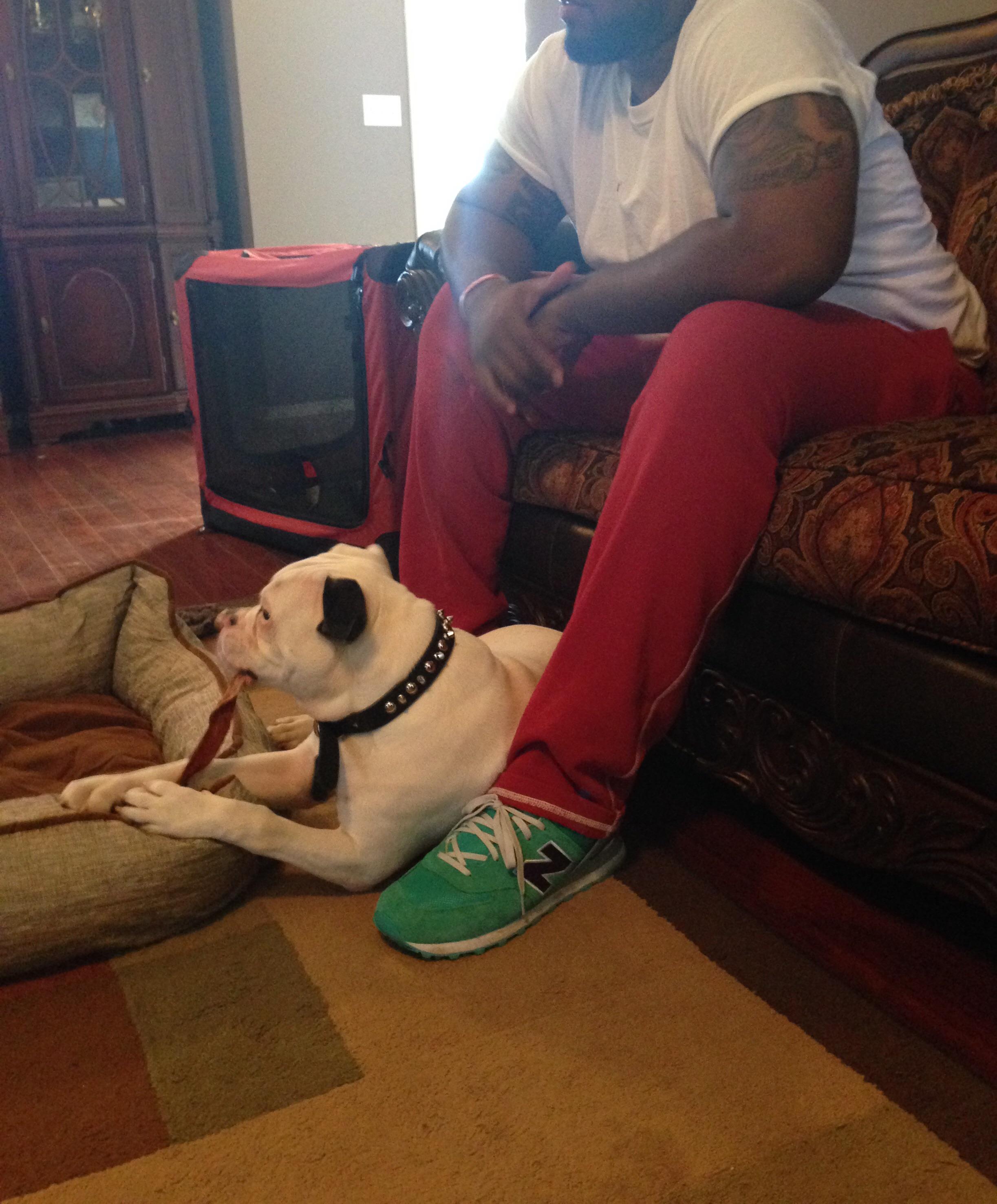 thereal_qalston's profile banner image