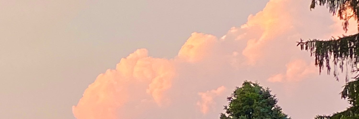 dyonte banner