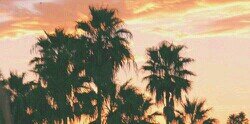 pattersonjordan's profile banner image