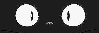 maruiwaseigi's profile banner image