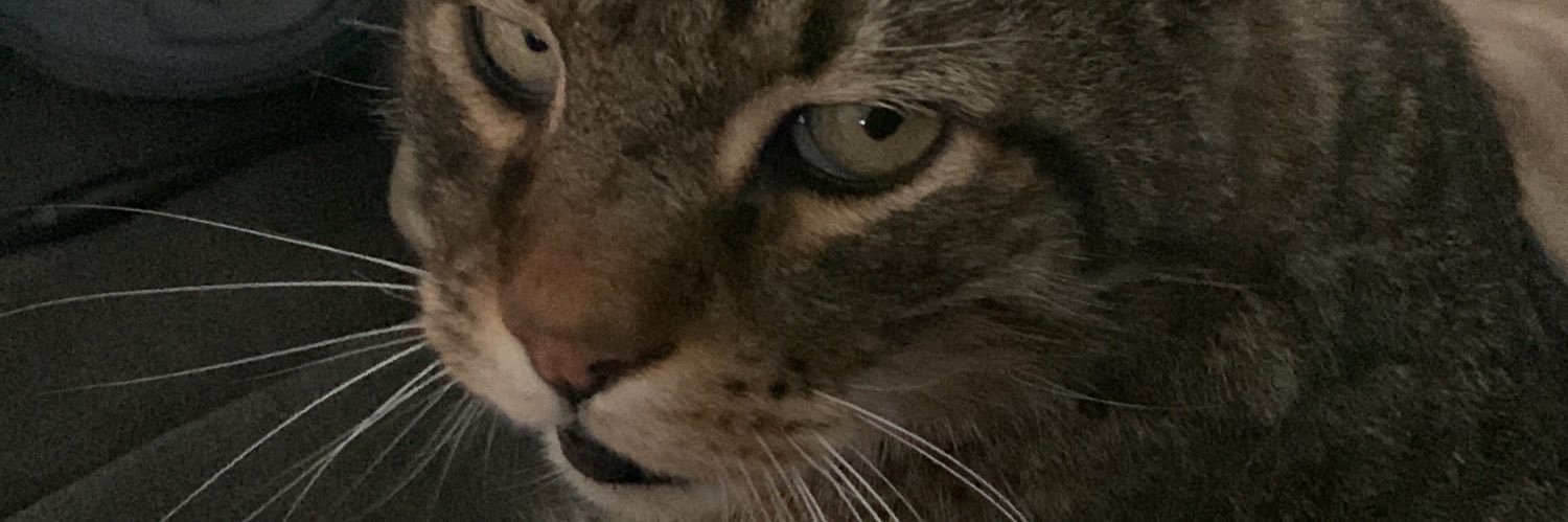 JoshiElotezet's profile banner image