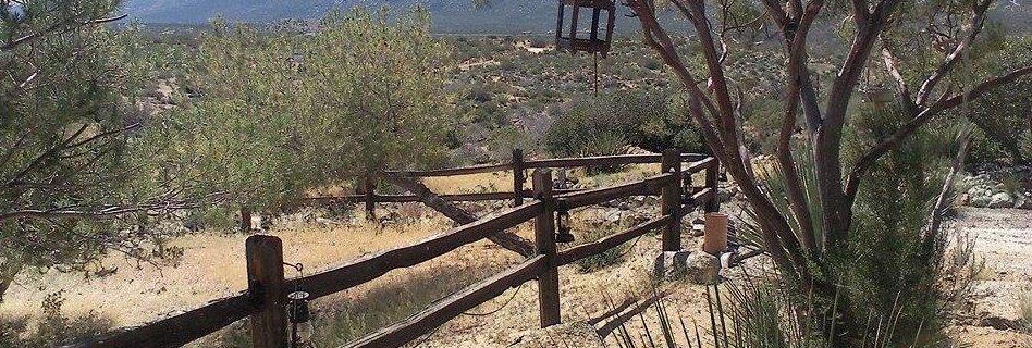 ttarbox1's profile banner image