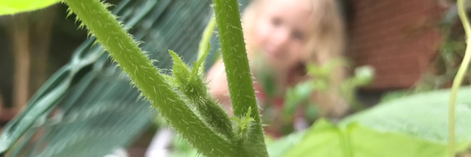 TLCFarmGA's profile banner image