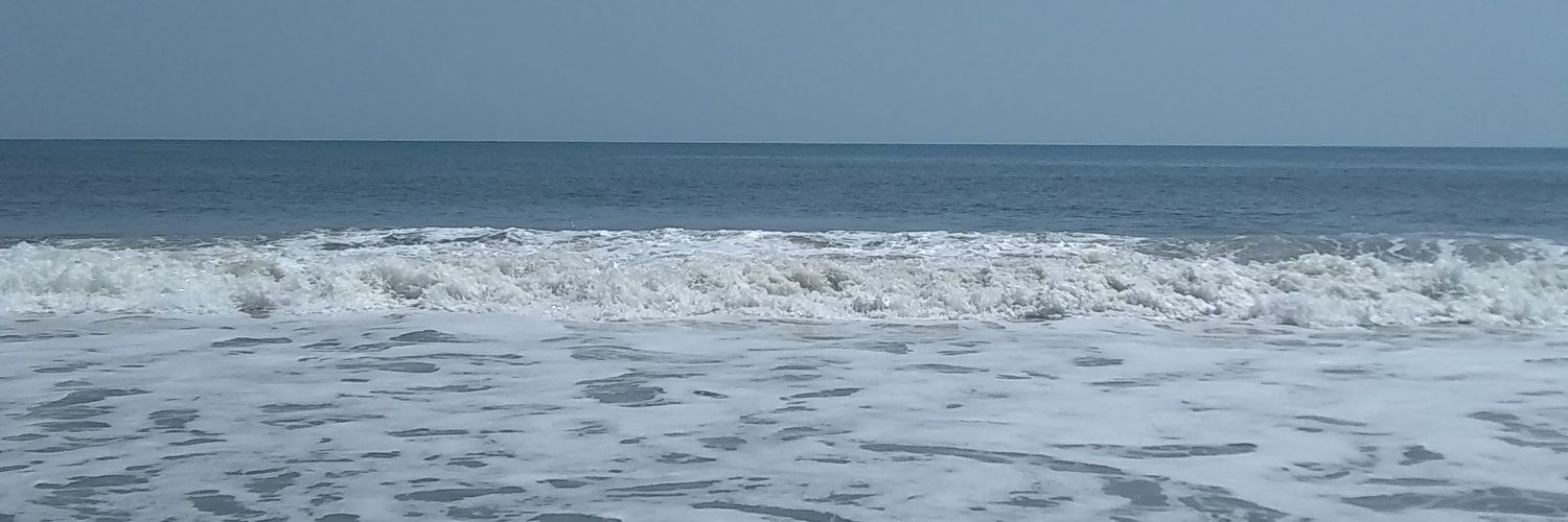 killerbear99's profile banner image