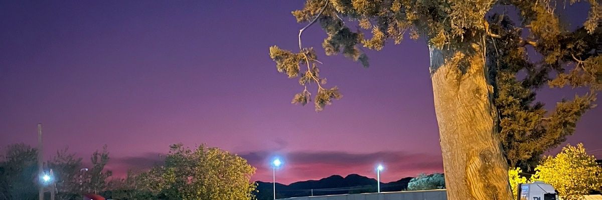 FioreLud08's profile banner image