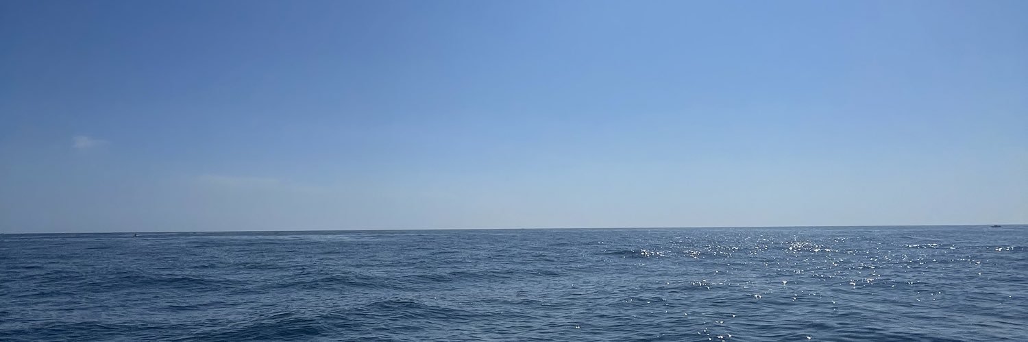 lisalelab's profile banner image