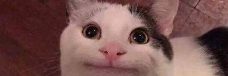 tiiinneeee's profile banner image