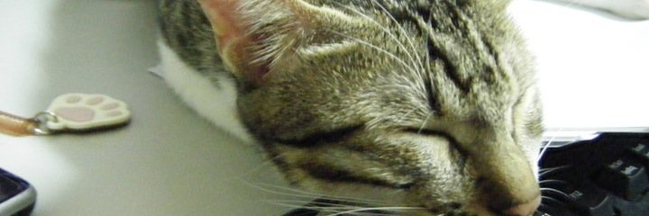 Jeffxx_Chao's profile banner image