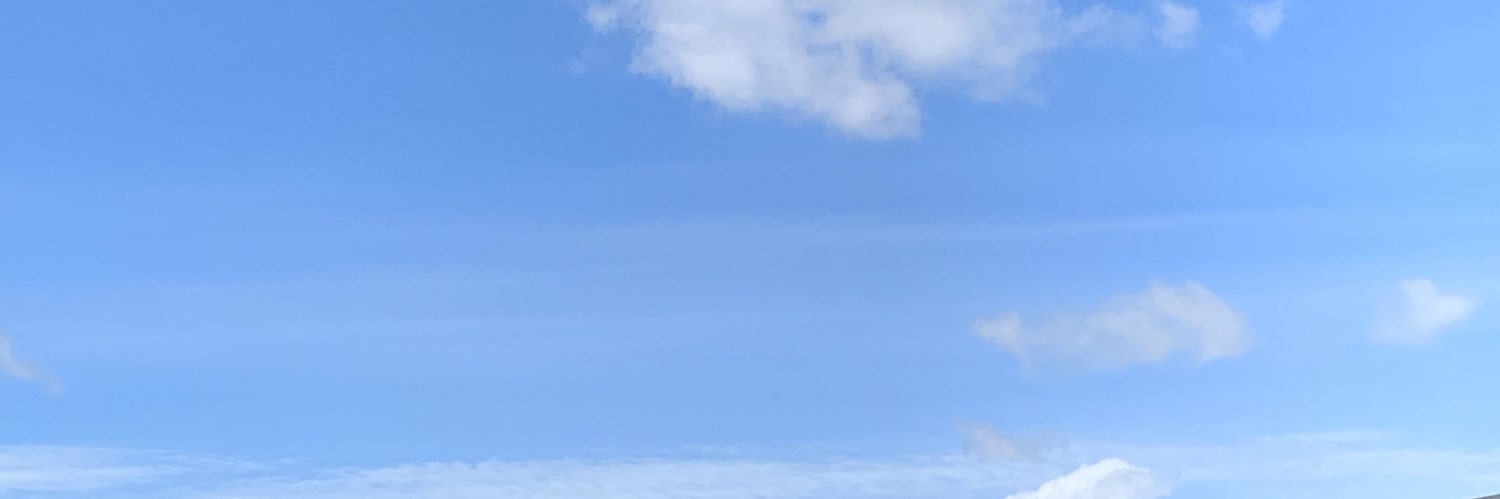 srykswg's profile banner image