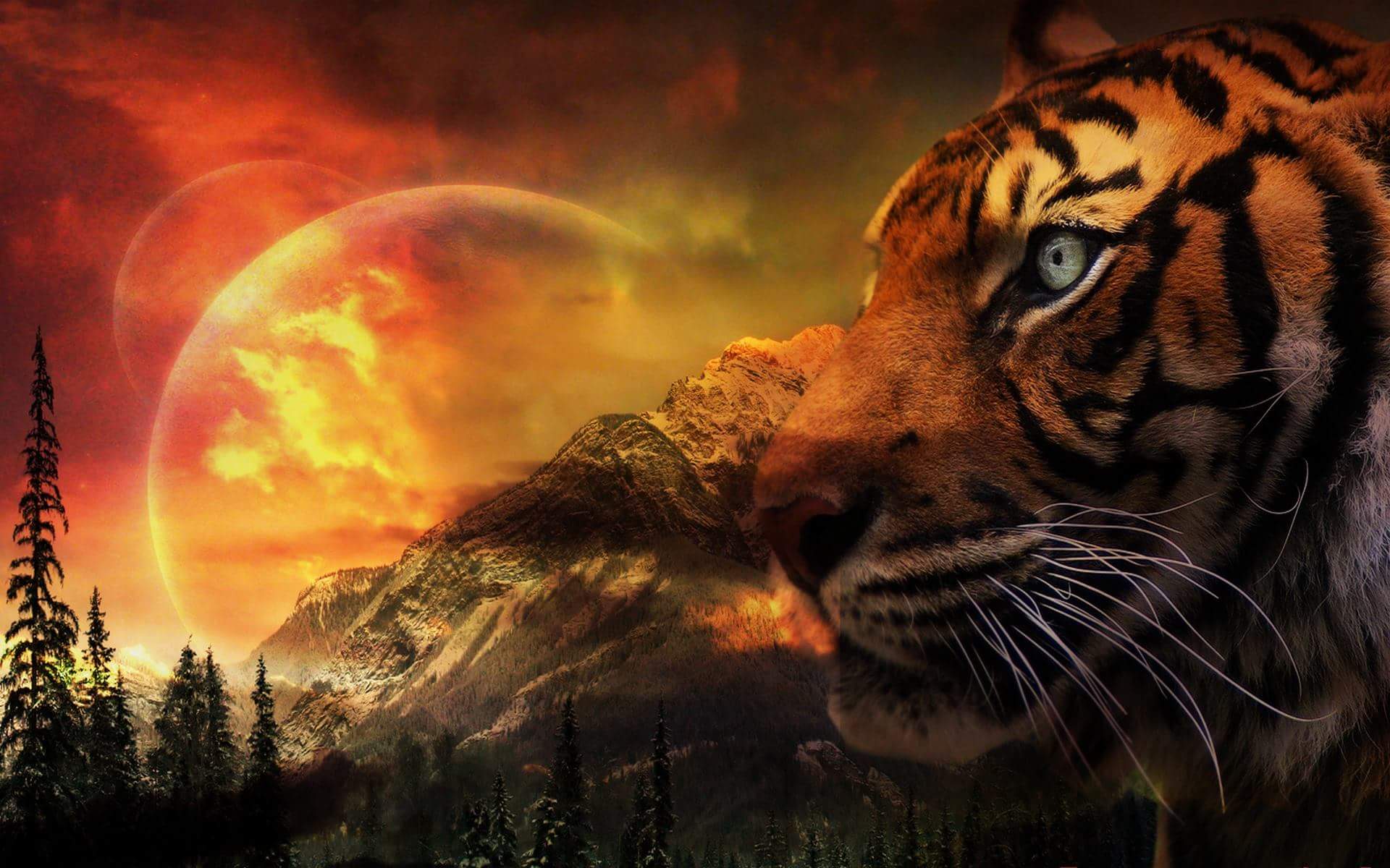 deelightfull_'s profile banner image